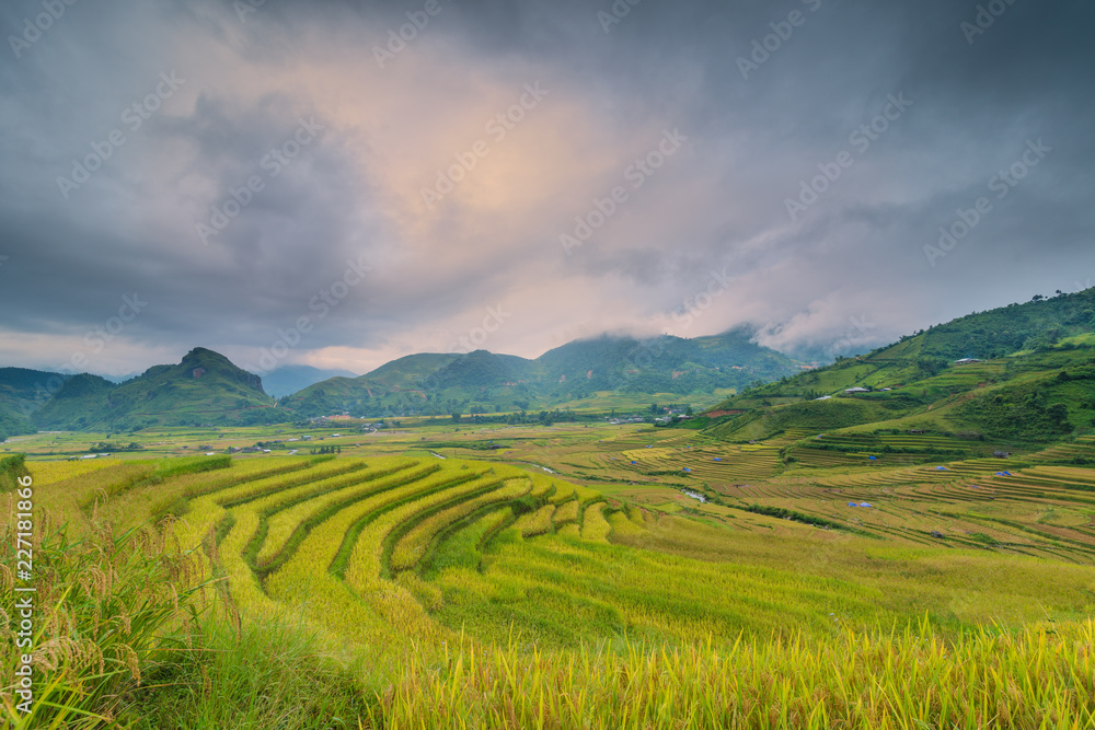 Mu Cang Chai terraces rice field in harvest season