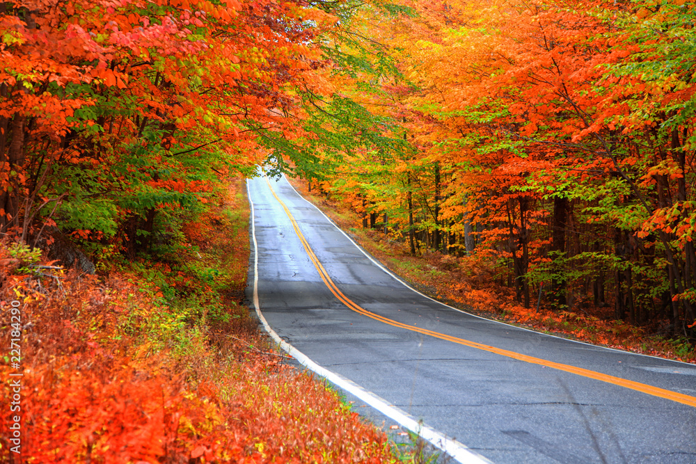 Obraz premium Beautiful rural Vermont drive in autumn time