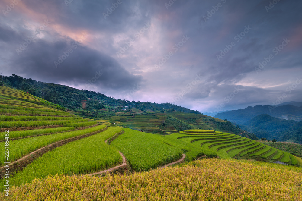 Fototapeta premium Mu Cang Chai terraces rice fields in harvest season