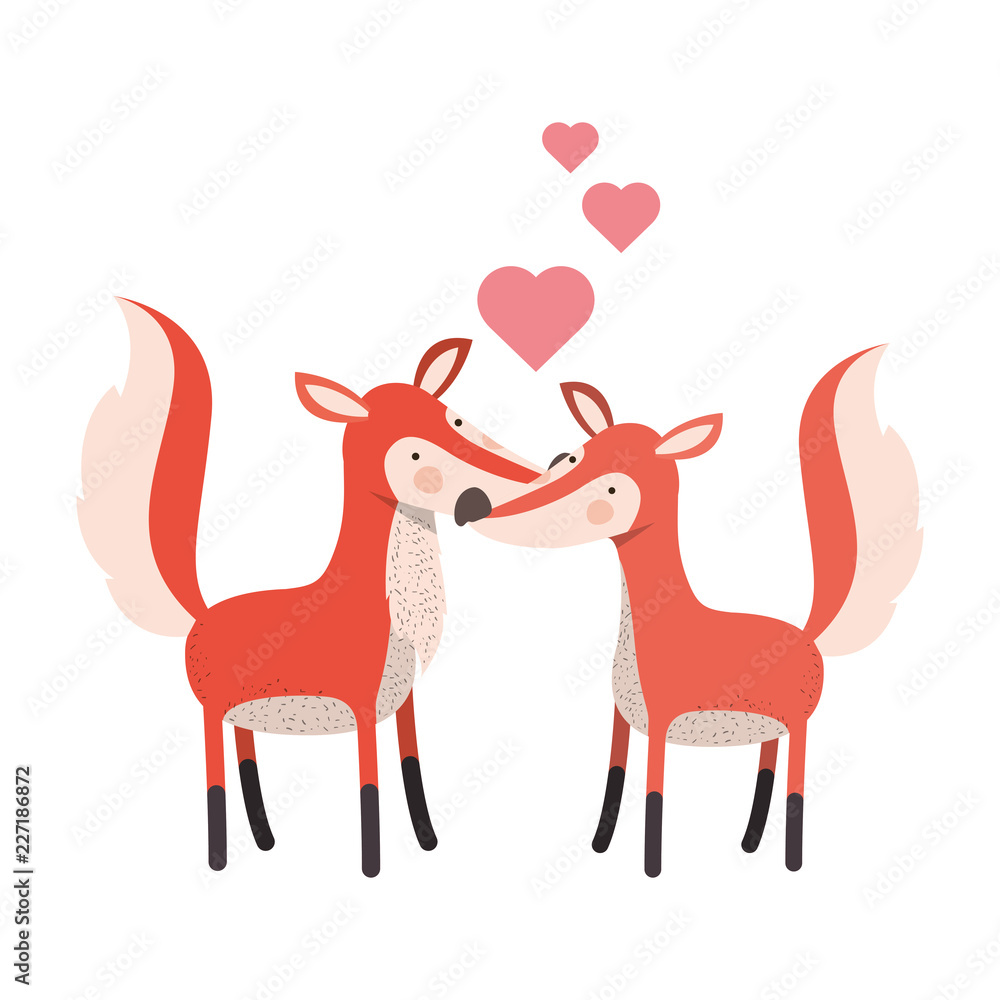 cute couple foxes with hearts cute couple foxes with hearts