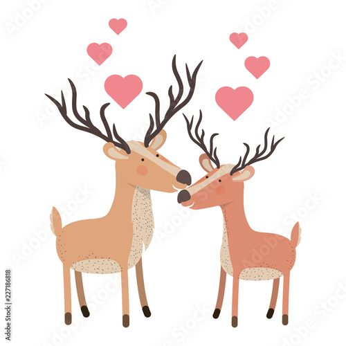 cute couple deers with hearts