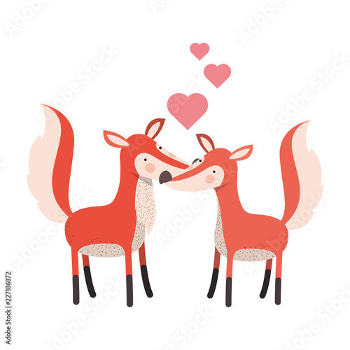 cute couple foxes with hearts