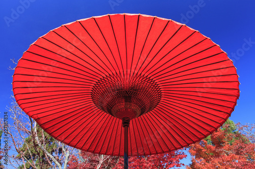 Japanese paper umbrella in autumn