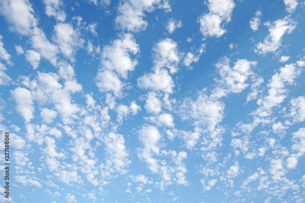 雲 青空 うろこ雲 雲 青空 うろこ雲