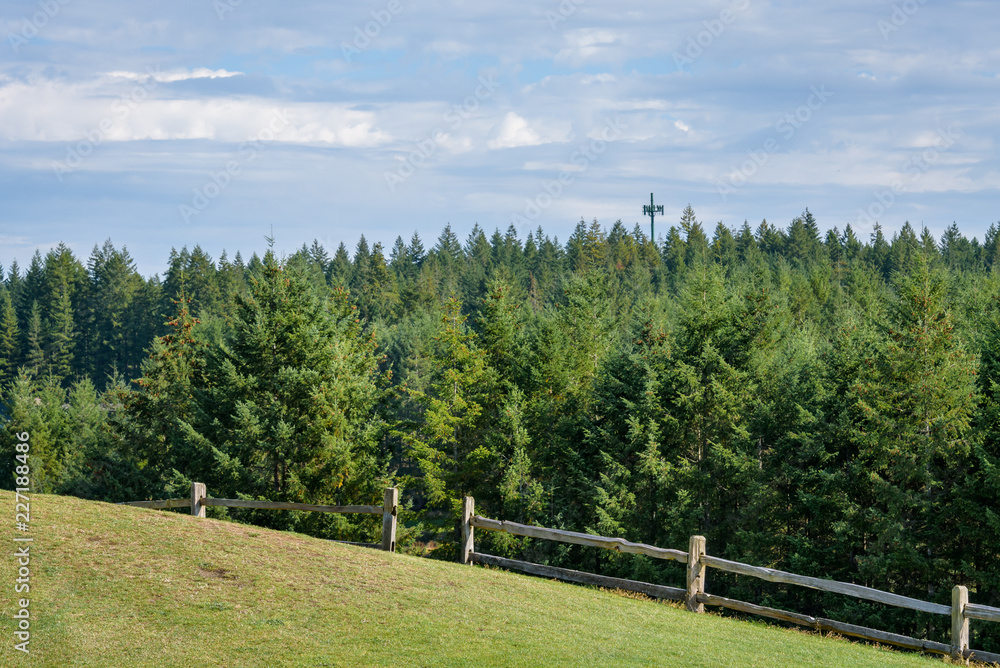 Peaceful outdoor park with grassy knoll, split wood fence, evergreen forest with green communications tower in background against a blue and white cloudy sky
Peaceful outdoor park with grassy knoll, split wood fence, evergreen forest with green communications tower in background against a blue and white cloudy sky