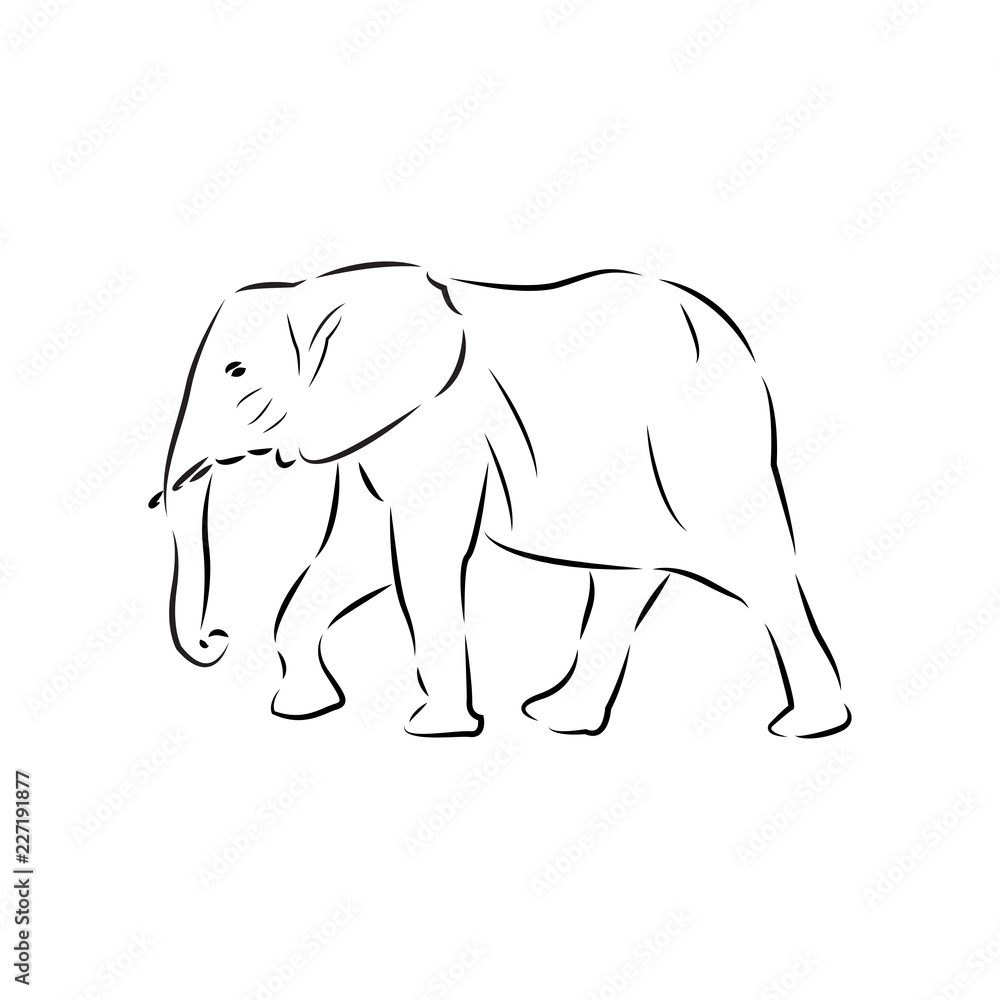 elephant logo icon design template vector elephant logo icon design template vector