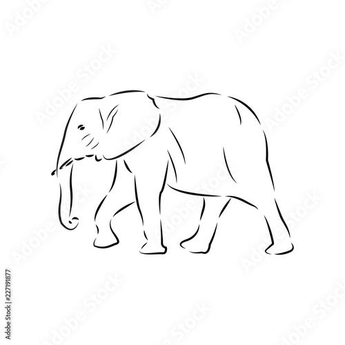 elephant logo icon design template vector