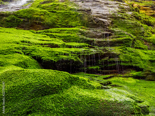 Mossy rocks and waterfall at the Cove of Tintagel in Cornwall