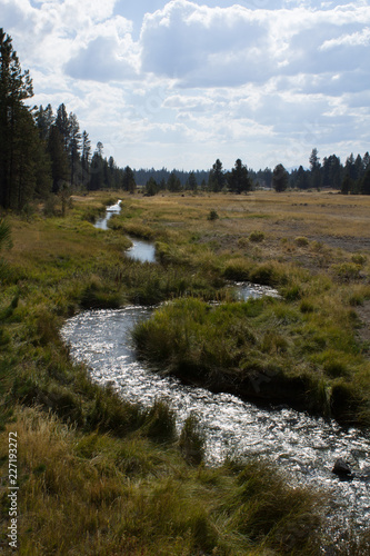 river in field