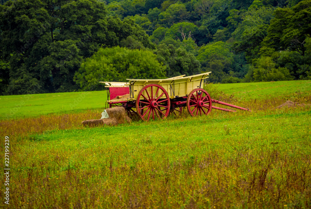 Fototapeta premium Old Carriage on a field