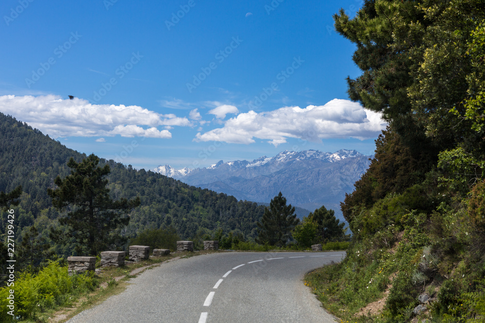 Fototapeta premium Castagniccia region, Corse