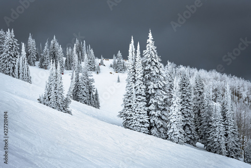 winter in the mountains © darius