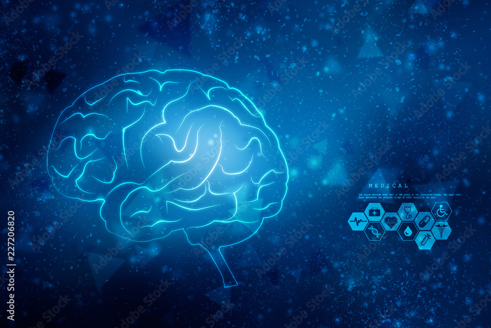 Human brain 2d illustration Human brain 2d illustration