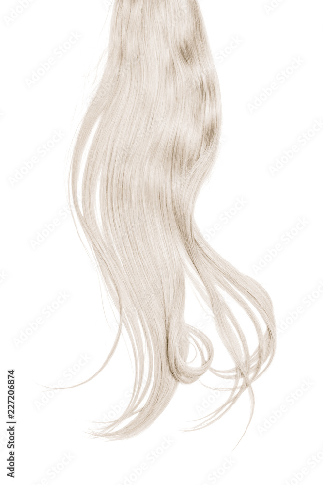 Gray hair isolated on white background. Long disheveled ponytail