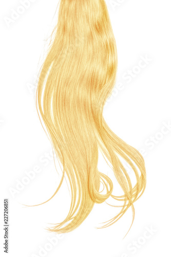 Blond hair isolated on white background. Long disheveled ponytail