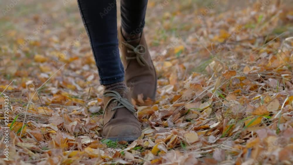 close up - woman's legs walking on the background of fallen, rustling autumn leaves on forest road close up - woman's legs walking on the background of fallen, rustling autumn leaves on forest road