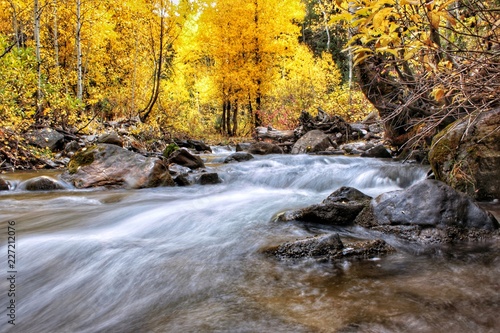 Flowing Water into Bright Autumn Forest