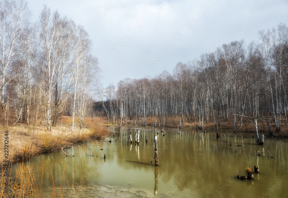 Fototapeta premium lake in spring