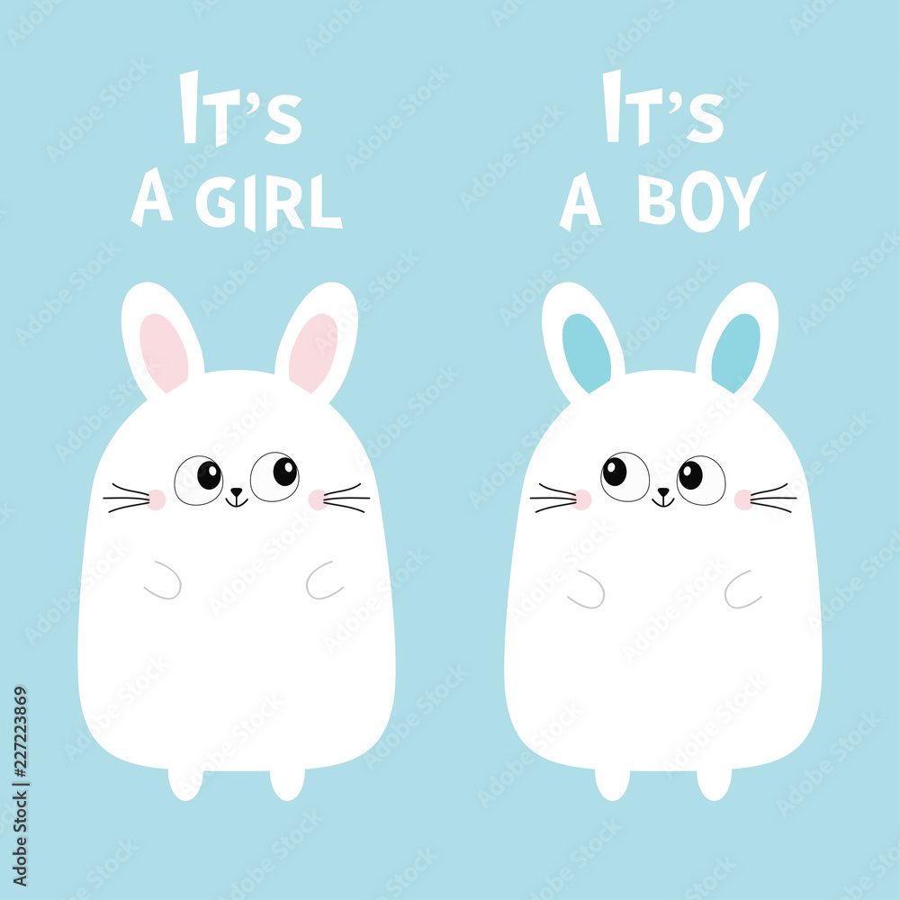 Its a girl boy. Two cute twin bunny rabbit set. Hare head couple family  icon. Cute cartoon funny smiling character set. Blue background. Isolated.  Flat design Stock Vector | Adobe Stock