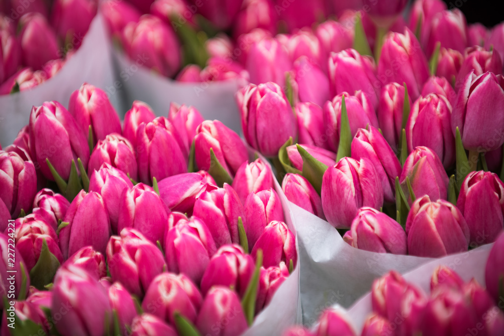 Pink tulips bouquet at flowers market