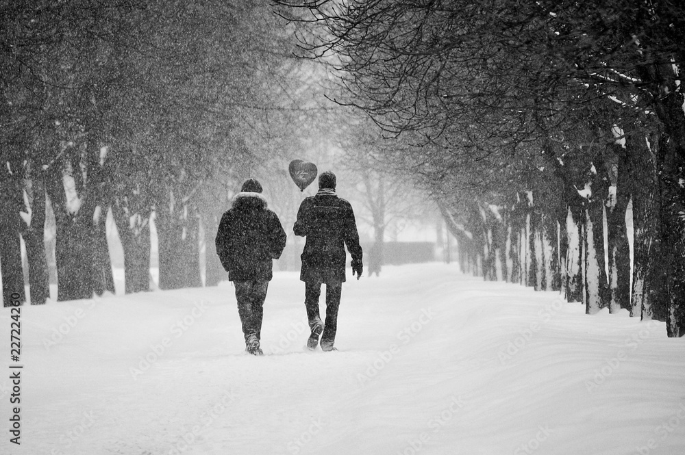 Wintertime Love Couple During A Snow Hurricane With A Heart Shaped Balloon Pair Of Lovers Overcome All Adversity Date In The Winter During A Snowstorm Valentine S Day Concept Storm Of Emotions Stock Photo