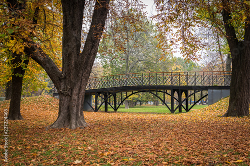 Bridge in the fall