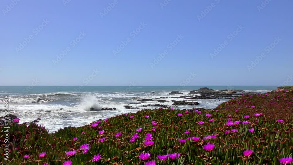 The Pacific Ocean at Bean Hollow State Beach, Santa Cruz County, California, USA, 2018 The Pacific Ocean at Bean Hollow State Beach, Santa Cruz County, California, USA, 2018