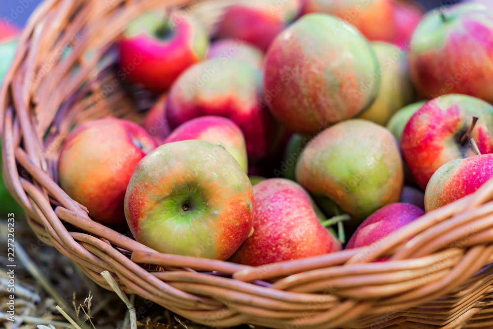 close up of red ripe apples in a basket at the farmer's market close up of red ripe apples in a basket at the farmer's market