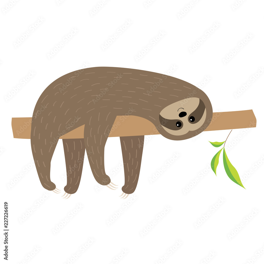 Sloth lying on tree branch. Fluffy fur. Cute cartoon character. Wild jungle  animal collection. Baby education. Isolated. White background. Flat design  Stock Vector | Adobe Stock