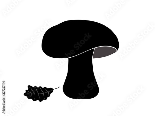 Boletus edulis with oak leaves, isolated on white background. Autumn and organic food. Web icon.