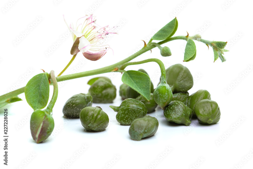 Capers, white background. Caper plant, green leaves and flower on white Capers, white background. Caper plant, green leaves and flower on white