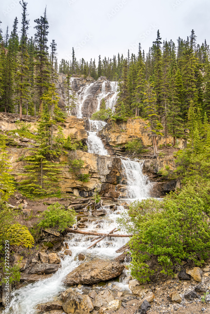 Obraz premium View at the Tangle creek falls near Icefields Parkway road in Jasper National Park - Canadian Rocky Mountains