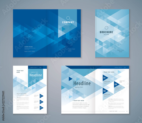 Cover Book Design Set, Triangle Background vector Template Brochures