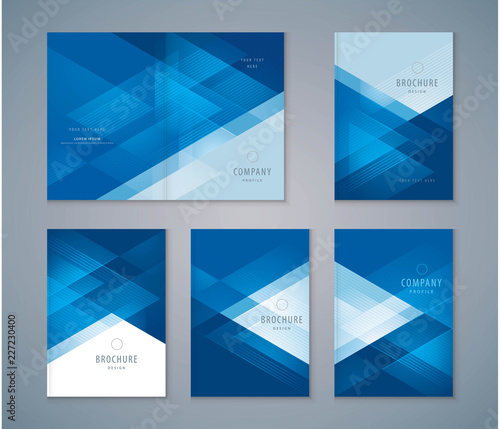 Cover Book Design Set, Triangle Background vector Template Brochures
