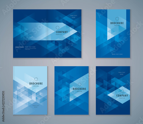 Cover Book Design Set, Triangle Background vector Template Brochures