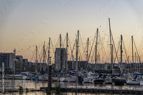 Cardiff Bay, Cardiff, Wales, UK, October 9, 2018: Starlings gathered in a huge flock and put on a spectacular show above Cardiff Bay, Cardiff, Wales