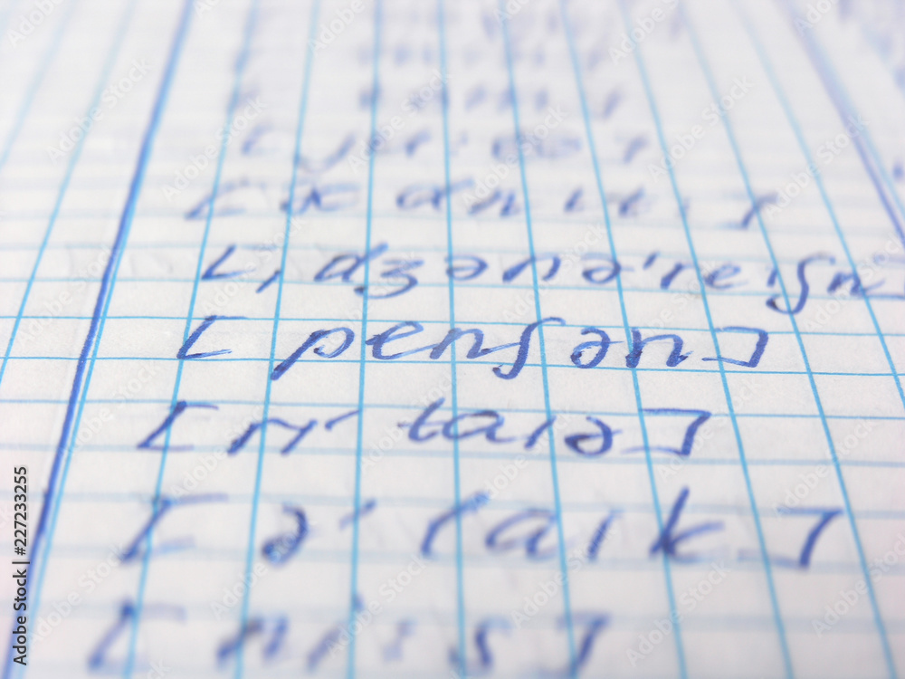 background of used sheet of school notebook .concept of educatio background of used sheet of school notebook .concept of educatio