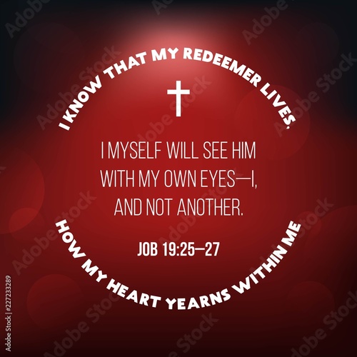 bible verse from job