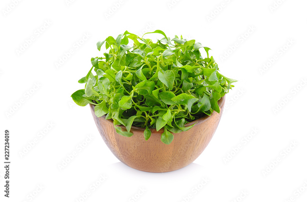 Watercress isolated on white background.