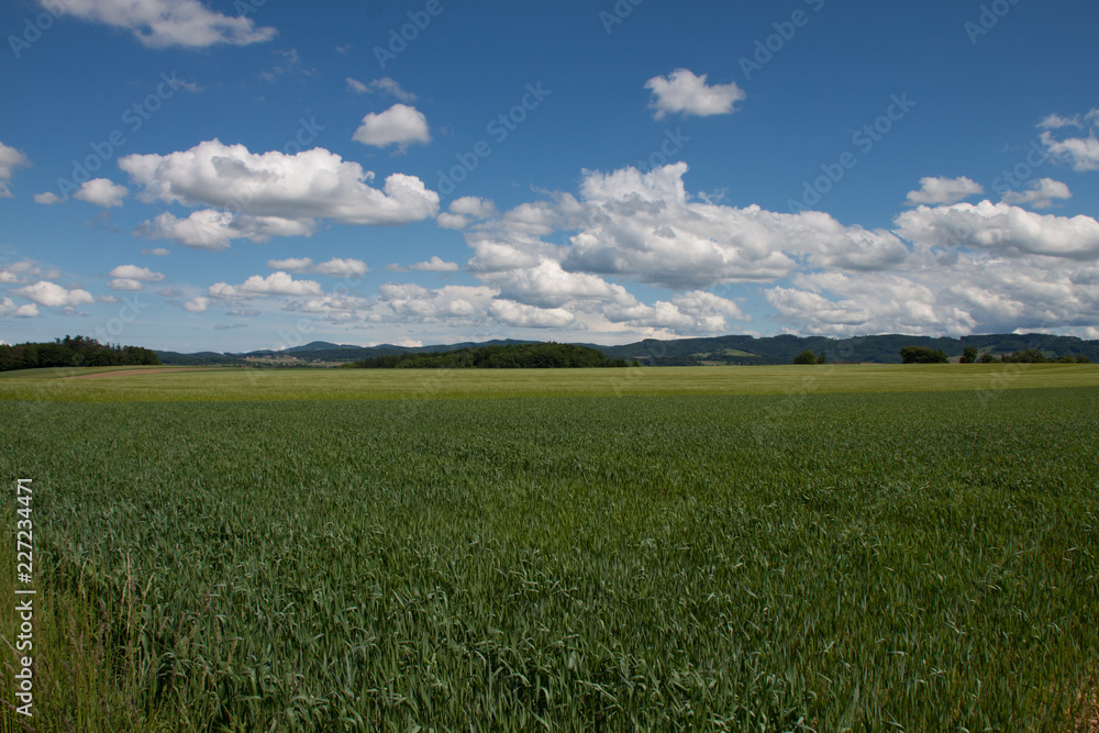 Blauer Himme mit weißen Wolken über grünem Feld