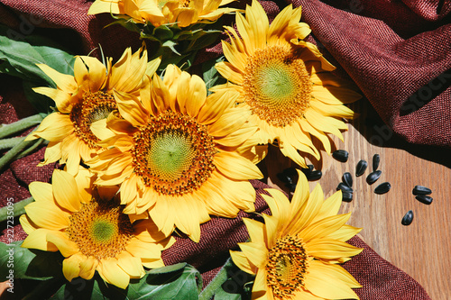 Fototapeta Naklejka Na Ścianę i Meble -  Beautiful yellow sunflower flowers with black seeds on brown wooden background