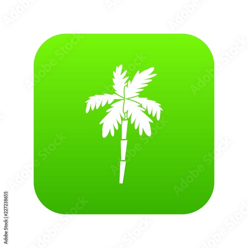 Palm tree icon digital green for any design isolated on white vector illustration