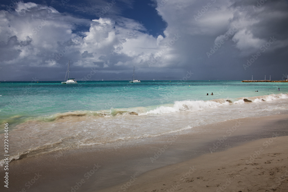 Obraz premium carribean beach in La Datcha, Grande-Terre, Guadeloupe