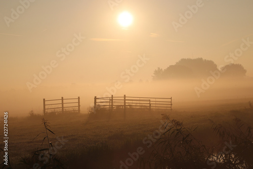 Fog over the meadows colored by the sun and shadows by trees during sunrise in Nieuwerkerk aan den IJssel in the Netherlands.