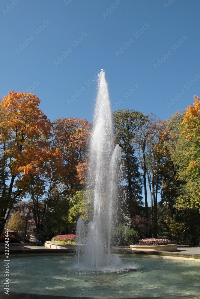 Fototapeta premium fountain in park at autumn
