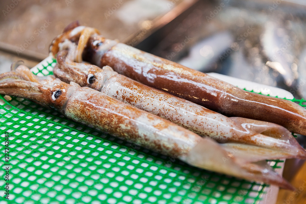 Φωτογραφία seafood, sale and food concept - close up of fresh squids at japanese street mar