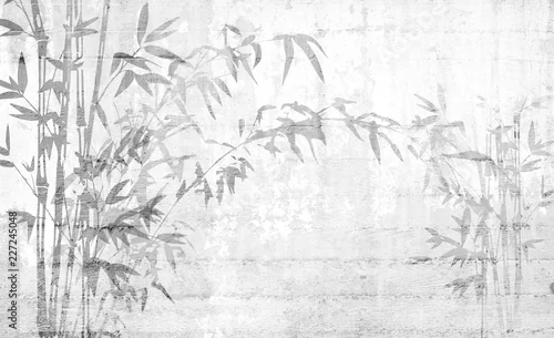 Obraz Bambus pozostawia cień na betonowej ścianie, dobry do wnętrz