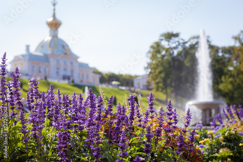 fountain in the garden
