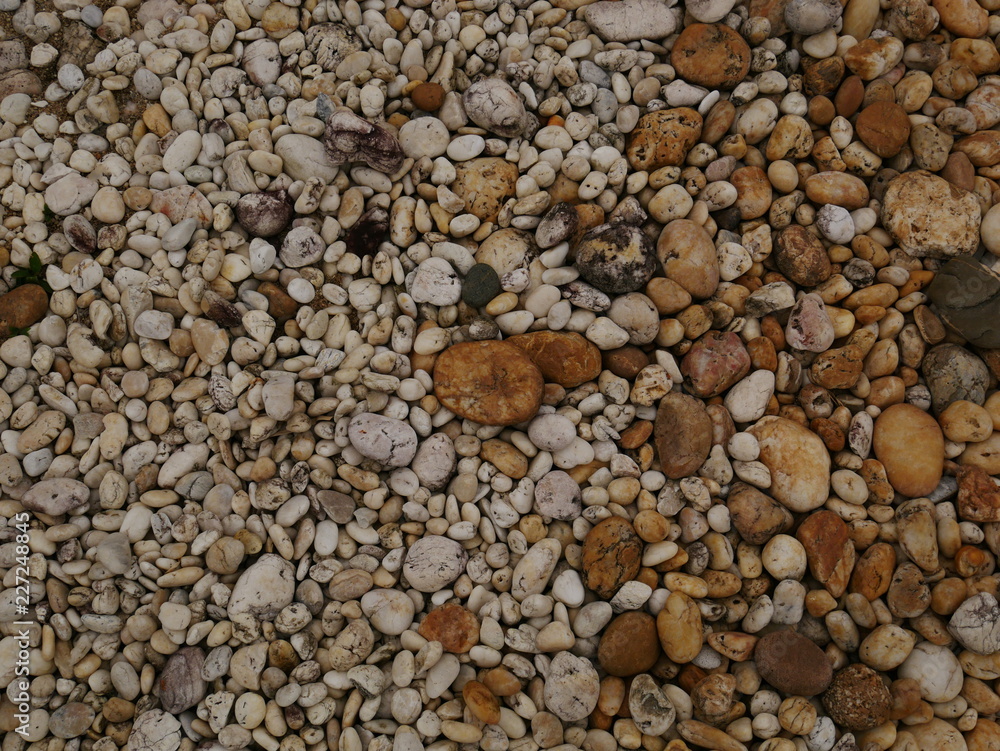 pebbles on the beach,stone concrete wall background pebbles on the beach,stone concrete wall background