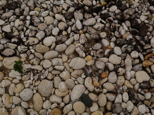 pebbles on the beach,texture of sand,stone  rock wall background